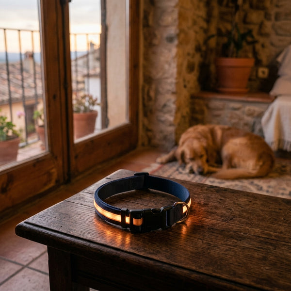 Collar LED Recargable para Perros